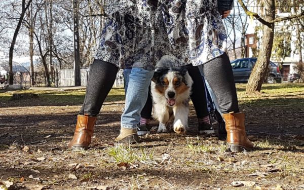 FOTO & VIDEO | Ziua interacțiunii om-animal. Clujenii și-au învins teama și s-au jucat cu  șerpi și șopârle