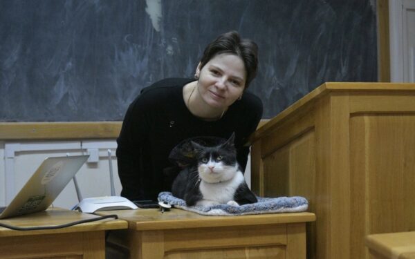 AUDIO & FOTO | REFRESH – Cum să vă distrați făcându-i pisicii voastre minunate locuri de joacă