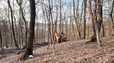 Primarul din Florești, despre amenajările care „mușcă” din pădure: „Vom continua verificările, nu există nicio autorizație”