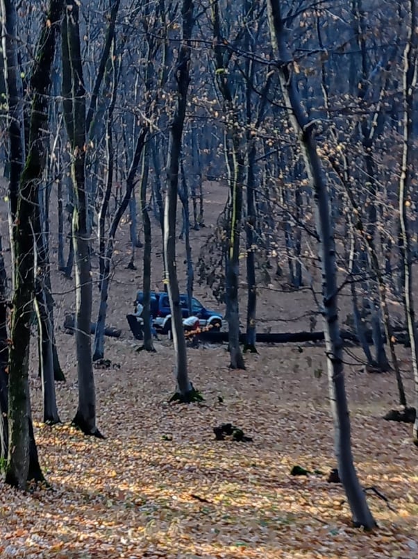 Fotografie rcentă, cu un jeep în care a fost încărcat pe repede înainte un copac tăiat la fața locului. Mai des întâlnit este însă transportul de material lemnos cu căruțele.