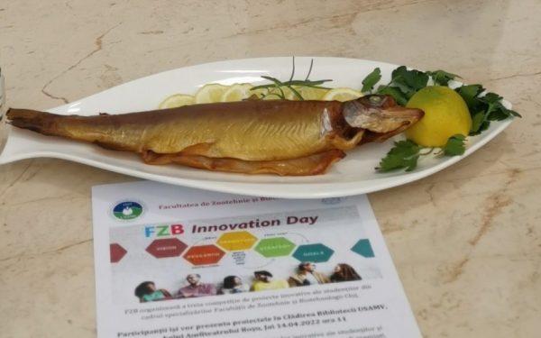 Ce am aflat la Innovation Day: mâncarea bună, dar și obrazul subțire, cu inovații se țin 🙂