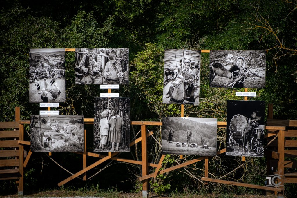 expozitie foto bruce dale